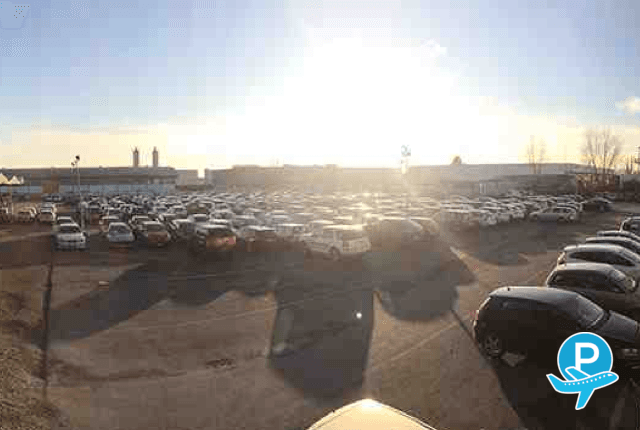 Blu Parcheggio (disabled) 1