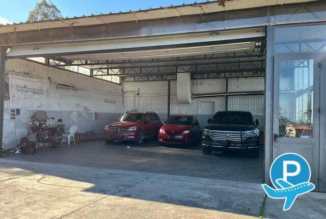 Autocar Toia - Cinisi (PA), Strada Statale 113 Km. 290.900 6